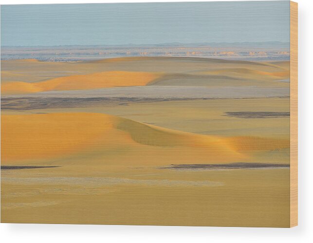 Scenics Wood Print featuring the photograph Desert Landscape by Raimund Linke
