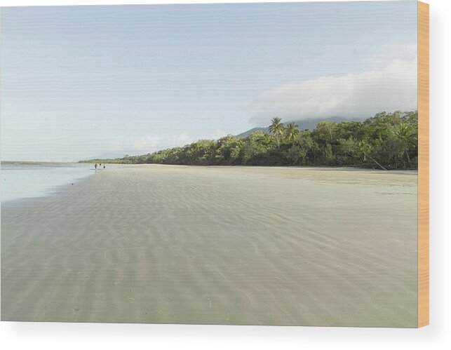 Tropical Rainforest Wood Print featuring the photograph Deserted Beach And Tropical Rainforest by Ippei Naoi