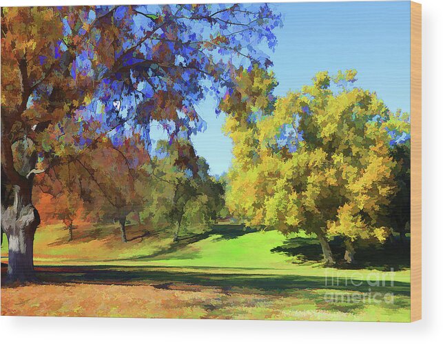 Autumn Wood Print featuring the photograph Digital Art Fall Colors Park by Chuck Kuhn