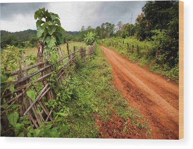 Outdoors Wood Print featuring the photograph Dirt Road by Max Paddler