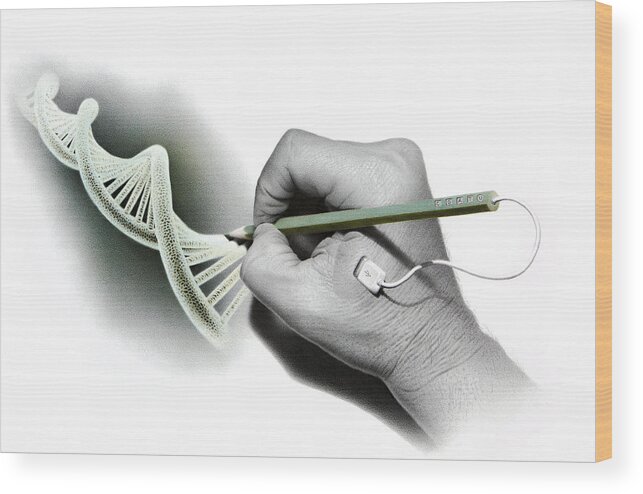 Technology Wood Print featuring the drawing DNA Goes Hi-Tech by Stirring Images