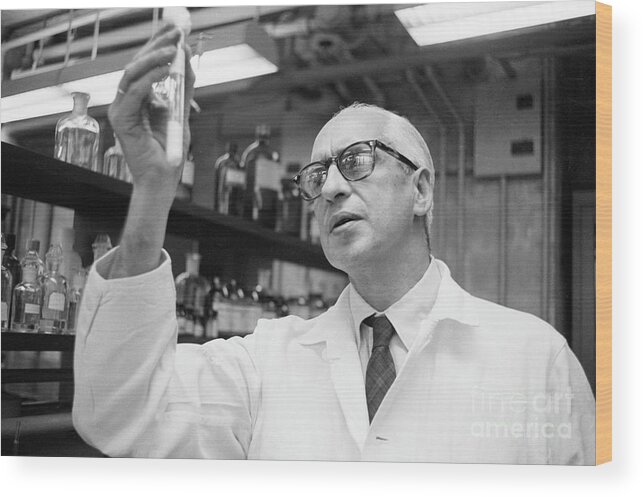People Wood Print featuring the photograph Doctor Severo Ochoa Shown In Laboratory by Bettmann