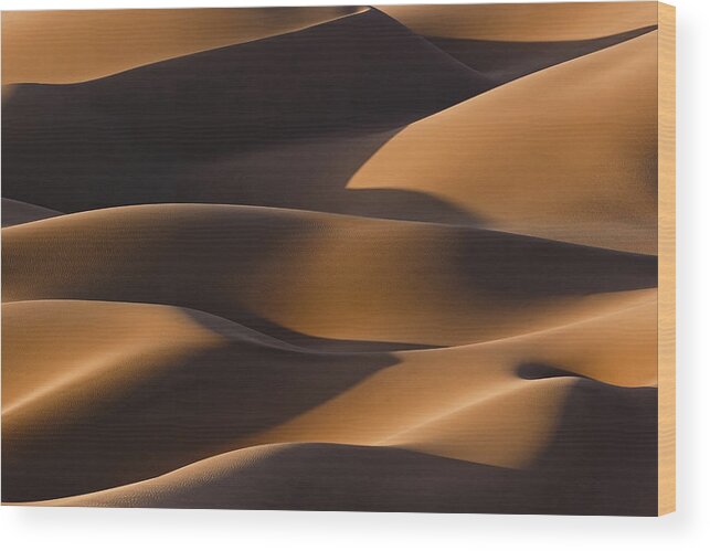 Desert Wood Print featuring the photograph Dolphins And Bodies by Asgharsameti