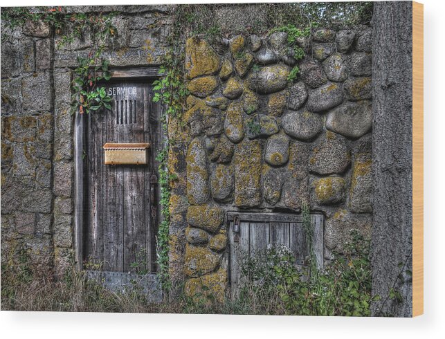 Stone Wood Print featuring the photograph Doorway Through Time by Liz Mackney
