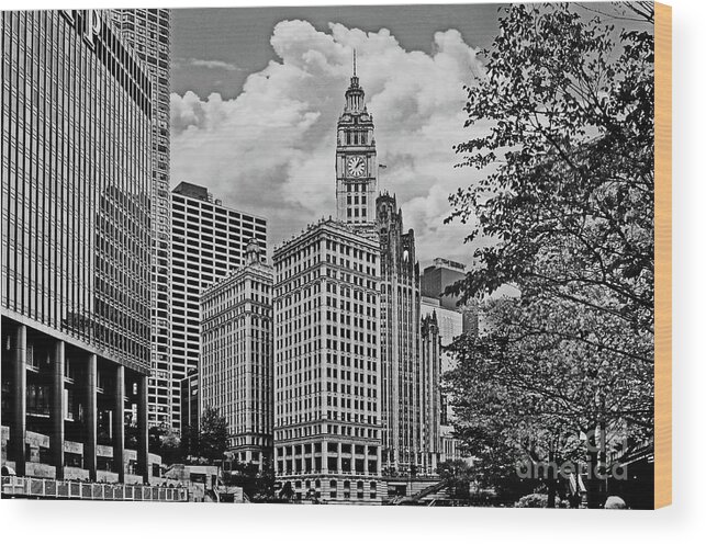 Chicago Wood Print featuring the photograph Downtown Chicago by Carlos Alkmin
