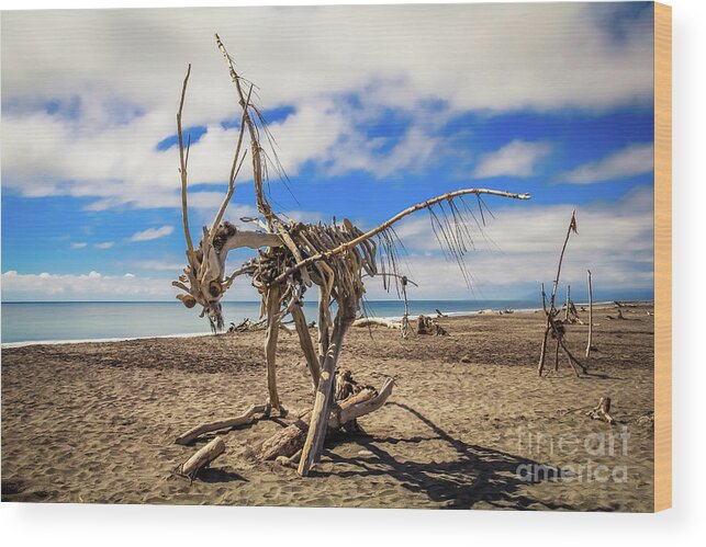 Driftwood Wood Print featuring the photograph Driftwood artwork on Hokitika Beach, New Zealand by Lyl Dil Creations