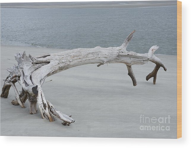 #fineartamerica #photography #images #prints #art #wallart #artist #artwork #homedecoration #framed #acrylic #homedecor #posters #coffeemug #canvasprints #fineartamericaartist #greetingcards #mug #homedecorating #phonecases #tapestries #gregweissphotographyart #grooverstudios Wood Print featuring the photograph Driftwood Folly by Groover Studios