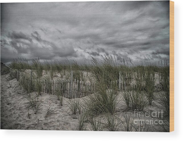 Dunes Wood Print featuring the photograph Dunes Day by Judy Hall-Folde