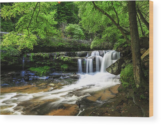 Waterfall Wood Print featuring the photograph Dunloup Creek Falls by SC Shank