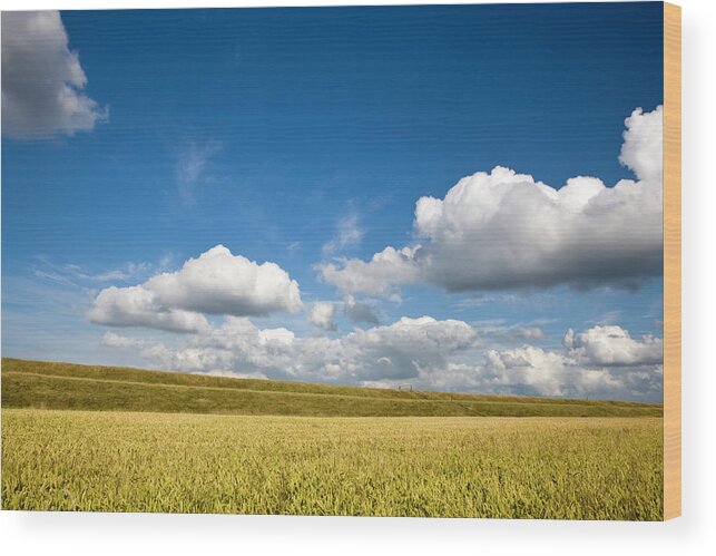 Scenics Wood Print featuring the photograph Dutch Views by Digiclicks