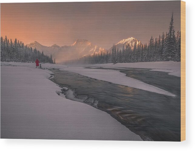Canadian Wood Print featuring the photograph Early Bird by James S. Chia