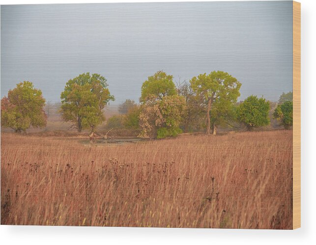 Agua Wood Print featuring the photograph Early Morning Fog In The Flint Hills by Michael Scheufler