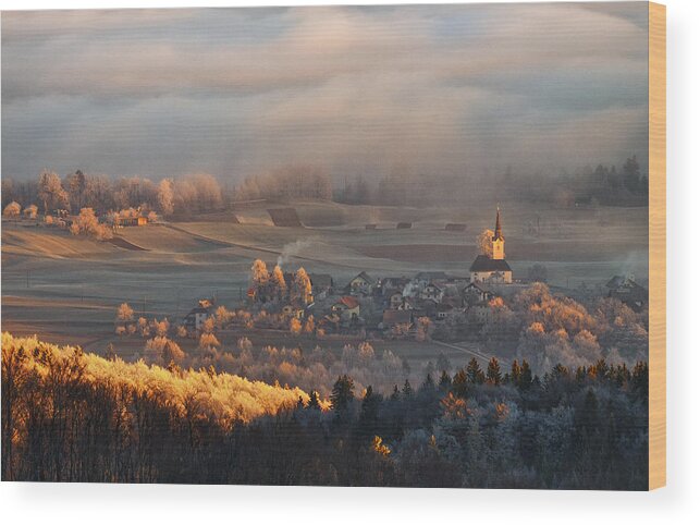 Winter Wood Print featuring the photograph Early Winter Morning by Ales Komovec