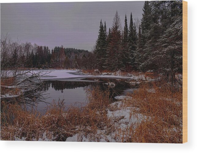 Pond Wood Print featuring the photograph Early Winter On A Spring Fed Pond by Dale Kauzlaric