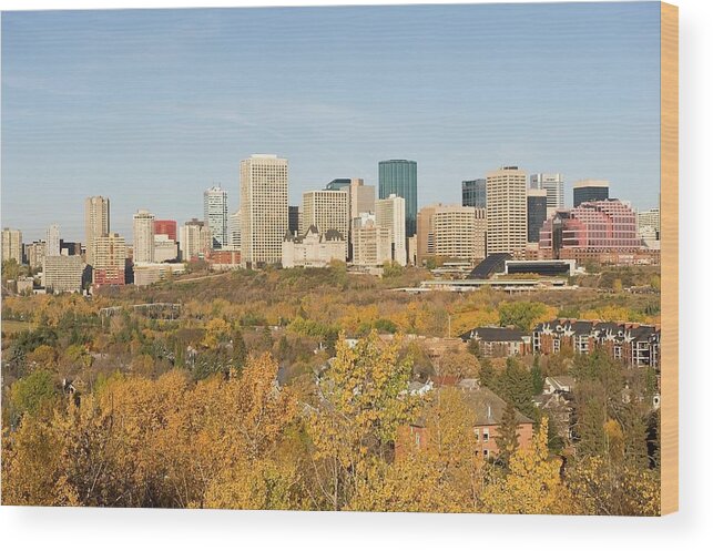 Downtown District Wood Print featuring the photograph Edmonton Skyline In The Fall, Alberta by Design Pics / Robert Brown