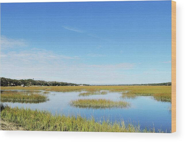 Grass Wood Print featuring the photograph Egan Creek Greenway Marsh And Amelia by Purdue9394