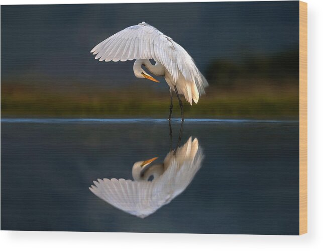 Egret Wood Print featuring the photograph Egret At Dusk by Xavier Ortega