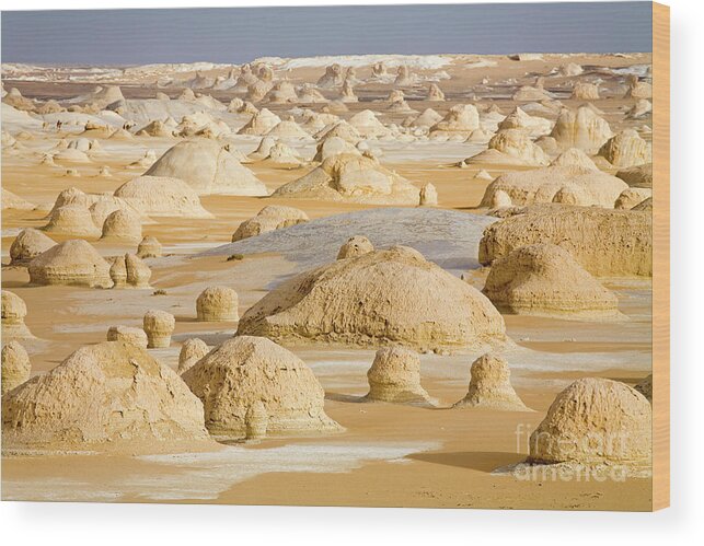 Scenics Wood Print featuring the photograph Egypt, White Desert Near Farafra Oasis by Sylvester Adams