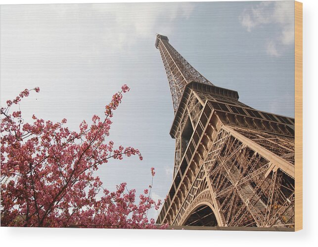 Eiffel Tower Wood Print featuring the photograph Eiffel Tower With Flowers by Studiokiet