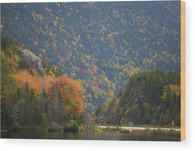 Elephant Wood Print featuring the photograph Elephant Head Autumn by White Mountain Images