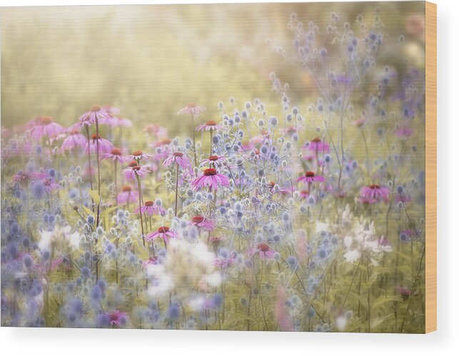 Flower Wood Print featuring the photograph Enchantment by Jacky Parker