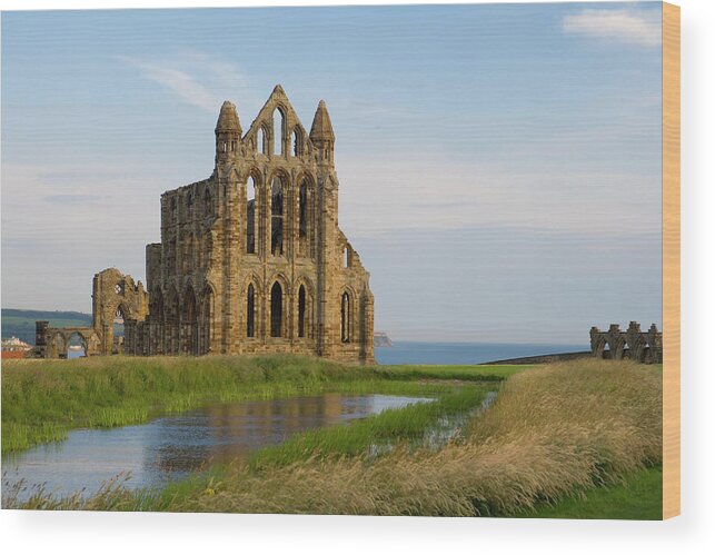 Grass Wood Print featuring the photograph England, North Yorkshire, Whitby by Peter Adams