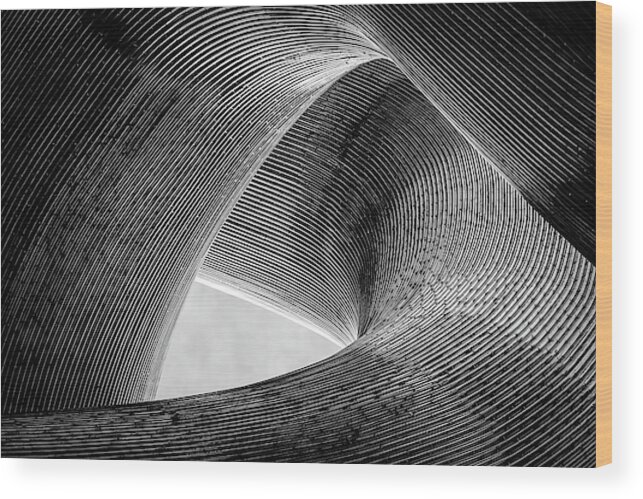 Lines Wood Print featuring the photograph Entwined by Peter Pfeiffer