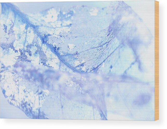 Leaf Wood Print featuring the photograph Ethereal by Iryna Goodall