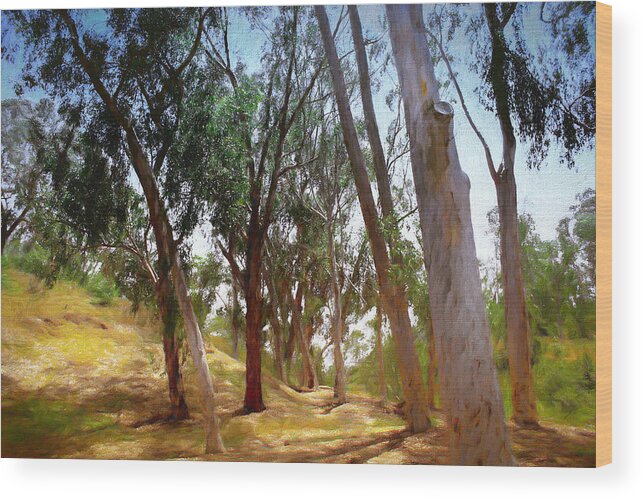 Trees Wood Print featuring the digital art Eucalyptus Grove Oil Painting by Alison Frank
