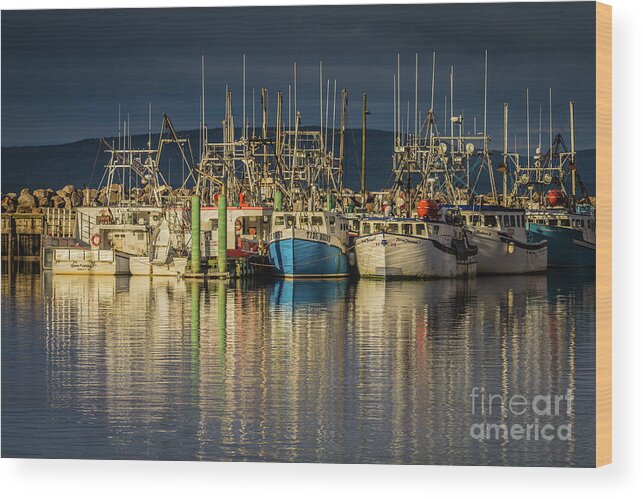 Evening Wood Print featuring the photograph Evening at Digby Harbor by Eva Lechner