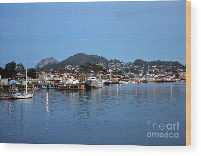 Morro Bay Wood Print featuring the photograph Evening in Morro Bay by Michael Rock