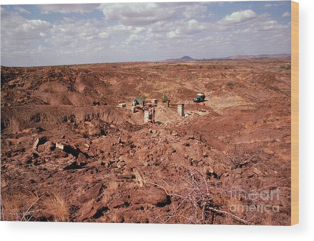 Anthropology Wood Print featuring the photograph Excavation Site At East Turkana by John Reader/science Photo Library
