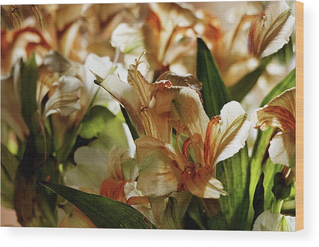 Lily Wood Print featuring the photograph Faded Lilies Abstract by Jeff Townsend
