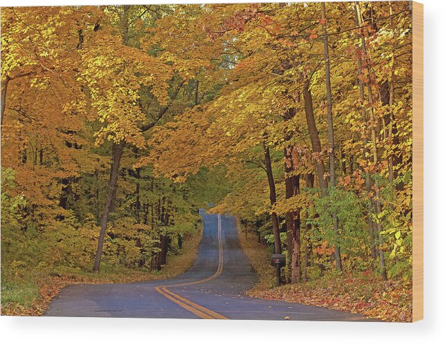 Fall Wood Print featuring the photograph Fall Colors by Hermes Fine Art