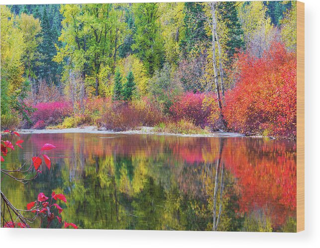 Outdoor; Fall; Colors; Autumn; River; Reflection; Nason Creek; Cascade; Central Cascade; Washington Beauty; Pacific North West; Washington; Washington State Wood Print featuring the digital art Fall colors in central Cascade by Michael Lee