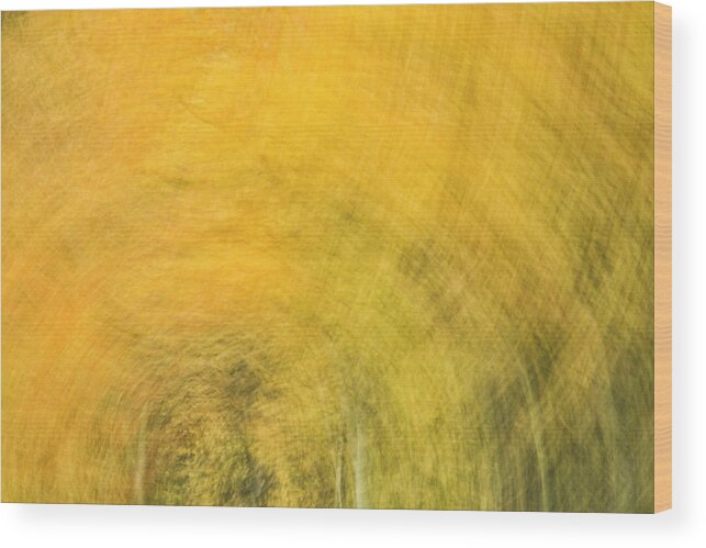 Abstract Wood Print featuring the photograph Fall Frenzy by Denise Bush