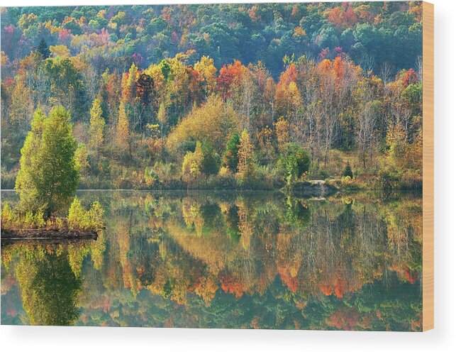 Fall Trees Wood Print featuring the photograph Fall Kaleidoscope by Christina Rollo