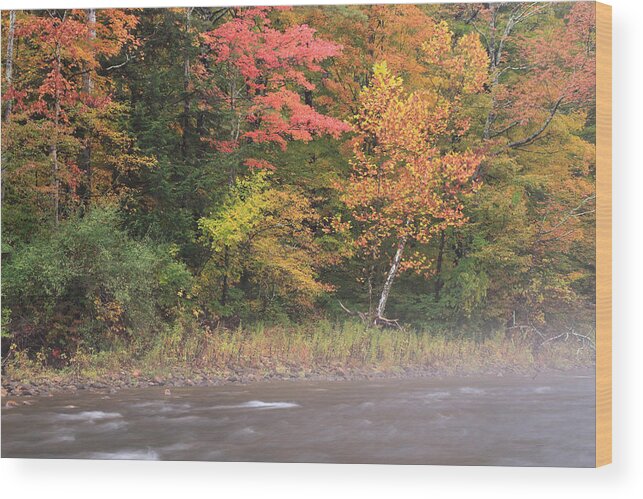 Arlington Wood Print featuring the photograph Fall On The Battenkill River by David Kenny