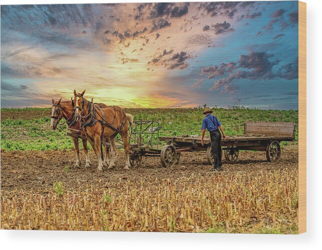 Lancaster Wood Print featuring the photograph Farmer with his horses by Roni Chastain