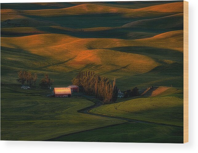 Farmhouse Wood Print featuring the photograph Farmhouse Sunset by Lydia Jacobs
