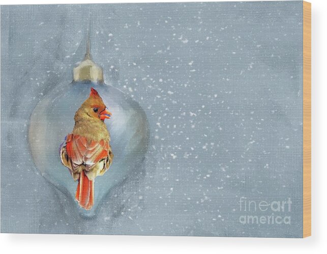 Female Northern Cardinal Christmas Ornament Snow Reflection Wood Print featuring the photograph Female Cardinal at Christmas by Janette Boyd