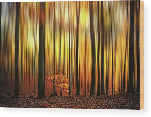 Forest Wood Print featuring the photograph Firewall by Philippe Sainte-Laudy