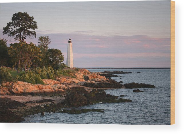 Water's Edge Wood Print featuring the photograph Five Mile Lighthouse, New Haven by Denistangneyjr