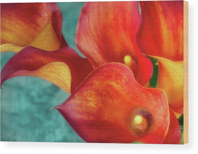 Calla Wood Print featuring the photograph Flame by Jade Moon