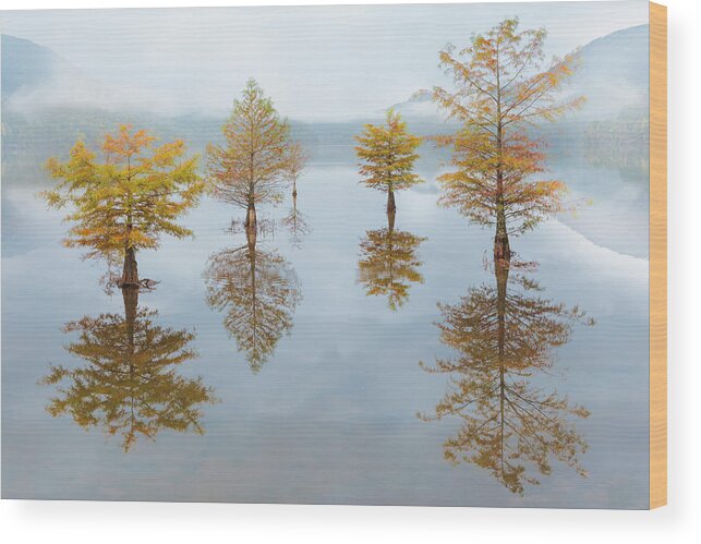 Carolina Wood Print featuring the photograph Floating Into Fall by Debra and Dave Vanderlaan