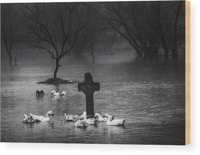 Cross Wood Print featuring the photograph Flooded by Marius Cintez?