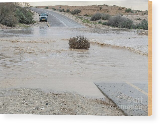 Israel Wood Print featuring the photograph Flooded Road by Photostock-israel/science Photo Library