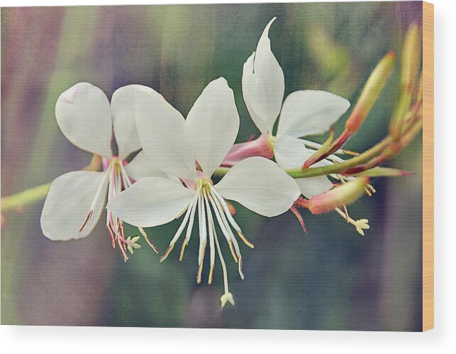Flowers Wood Print featuring the photograph Floral Palette II by Leda Robertson