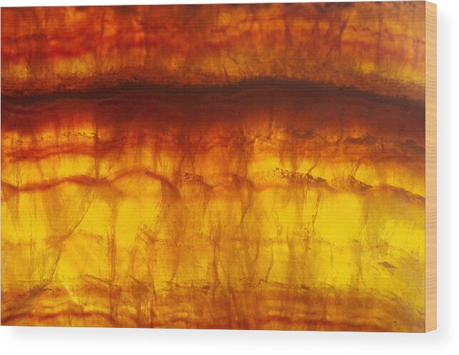 Mineral Wood Print featuring the photograph Flourite by David Wasserman