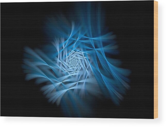 Flower. Flora. Floral Wood Print featuring the digital art Flowerama Blue by Don Northup